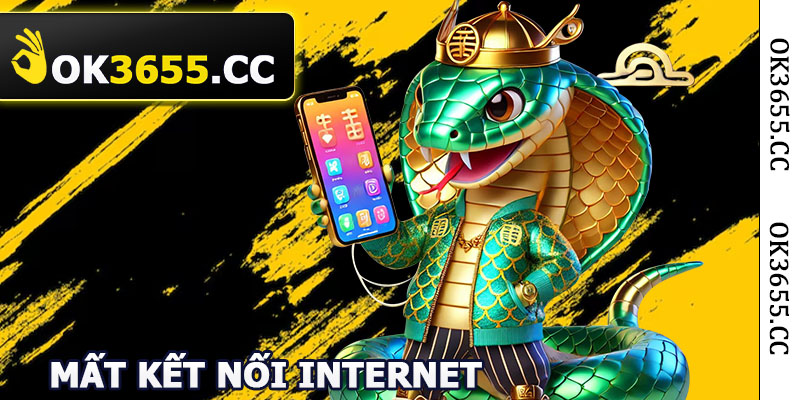 Mất kết nối internet
